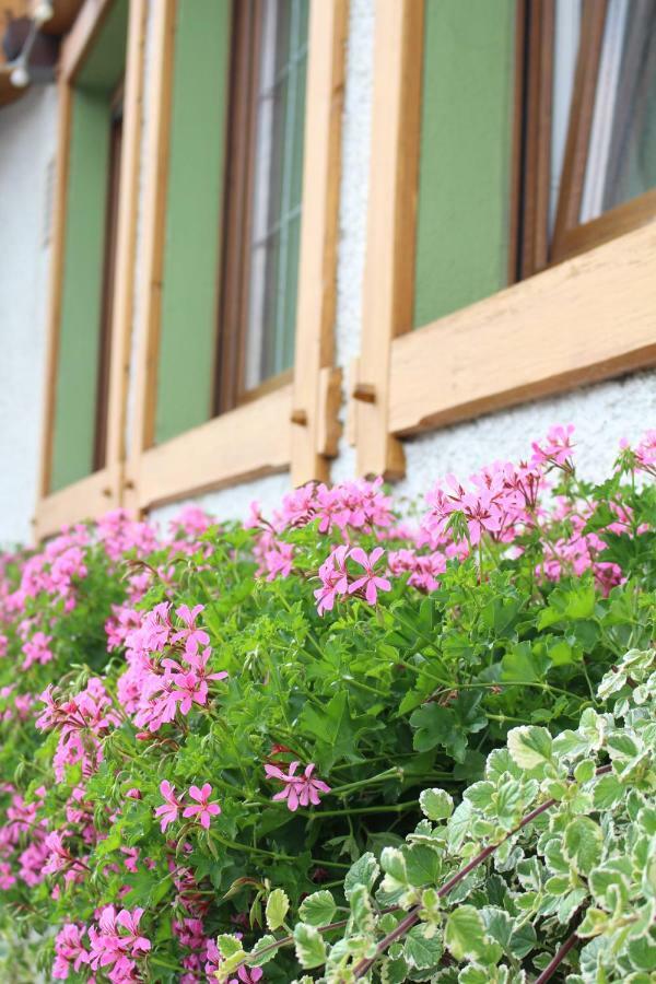 Landgasthof Ritter Orsingen-Nenzingen Dış mekan fotoğraf